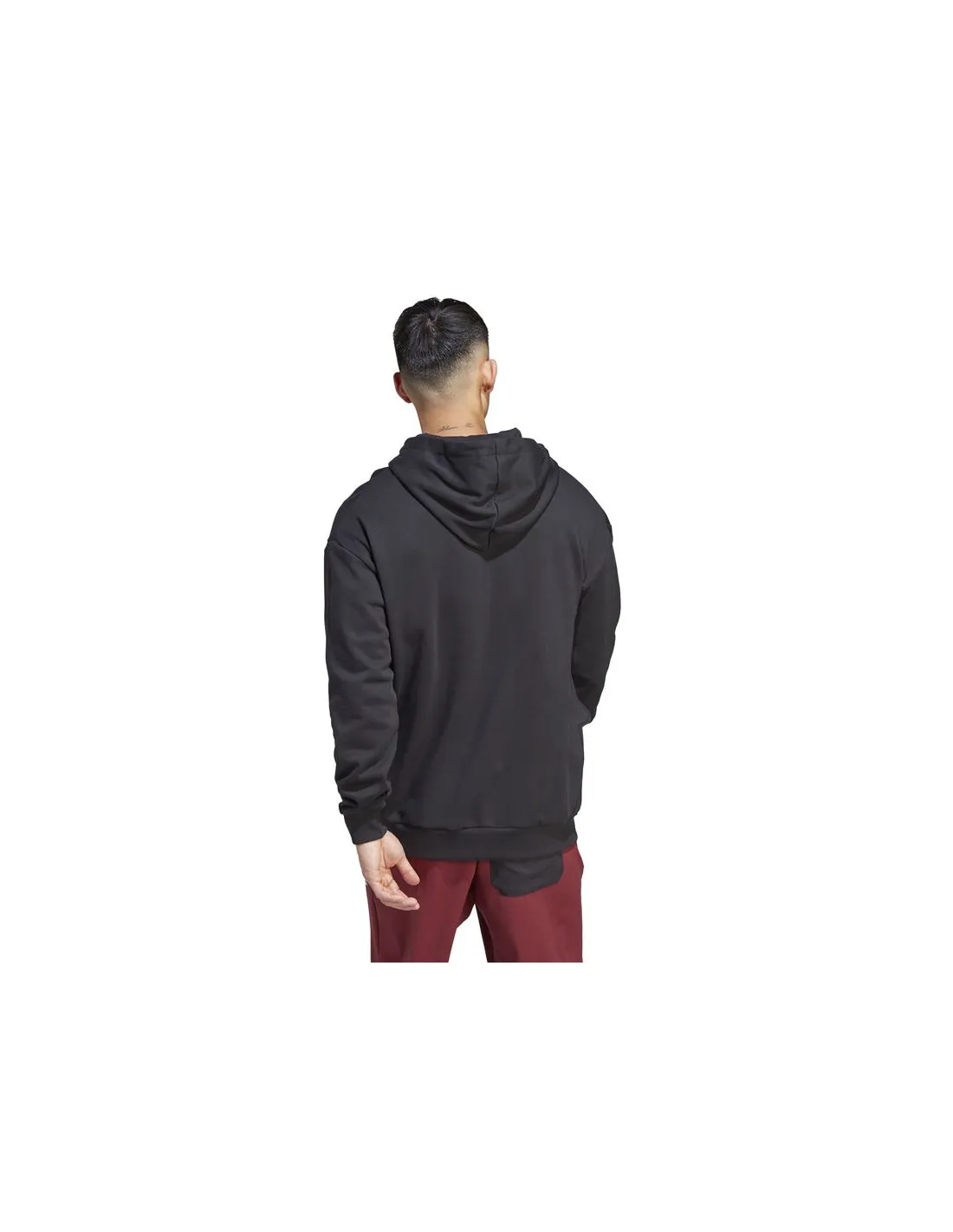 Sudadera de Montaña adidas Tx Logo Hoody Hombre